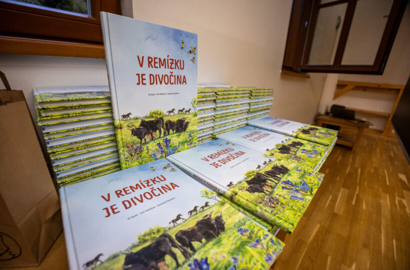 Zelená škola Olomouckého kraje