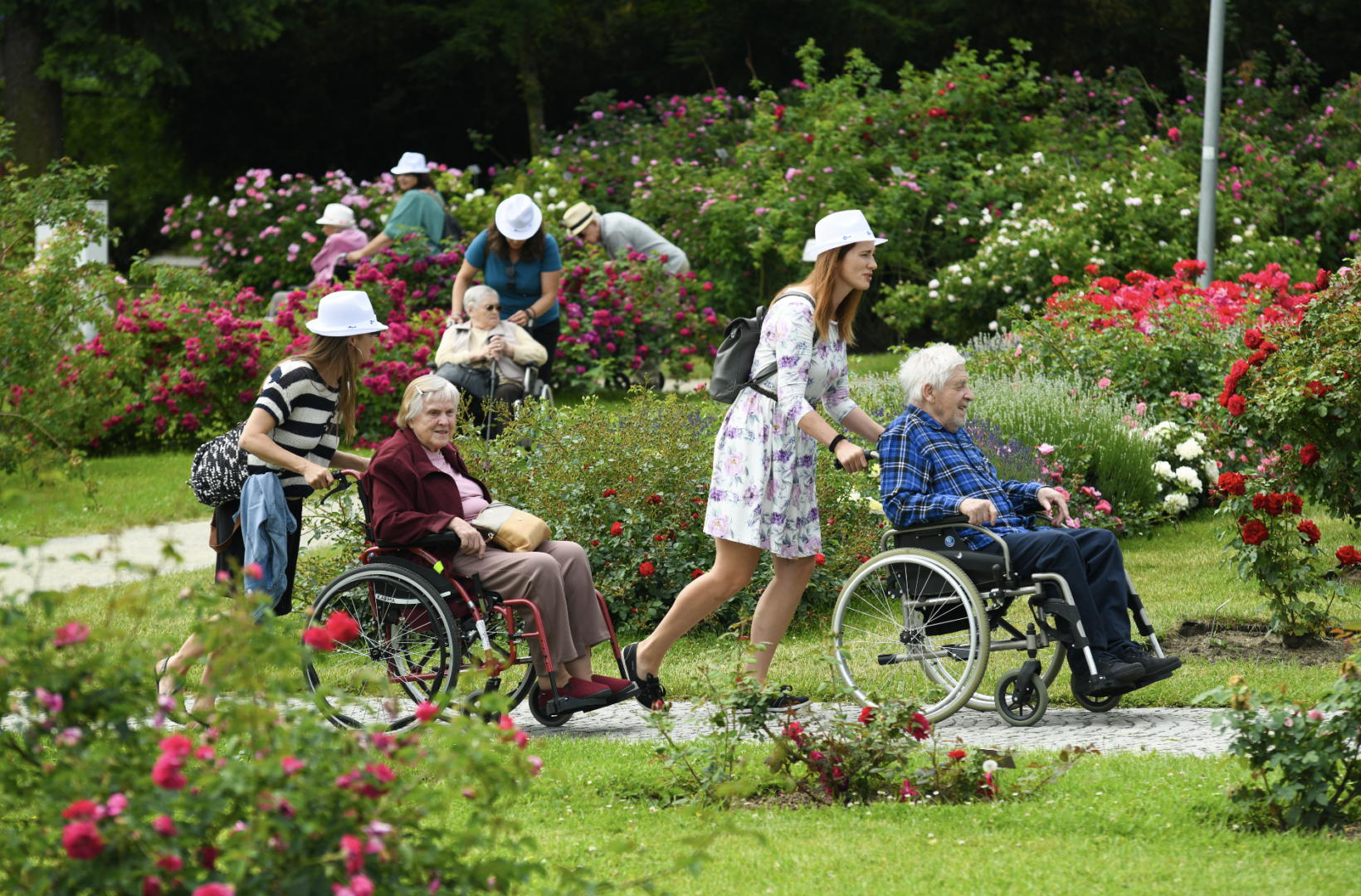Stárneme společně: Podpora aktivního života seniorů